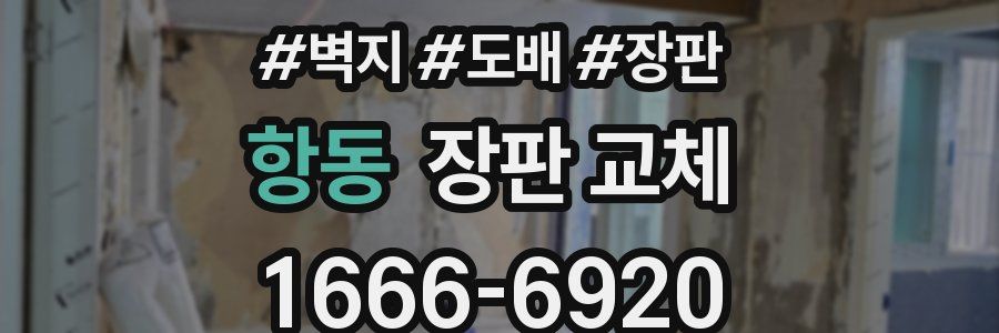 항동 장판 교체