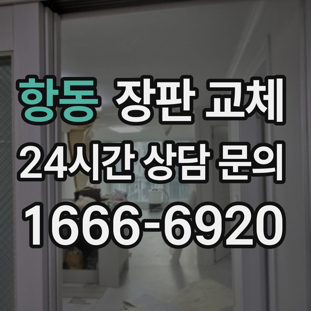항동 장판 교체