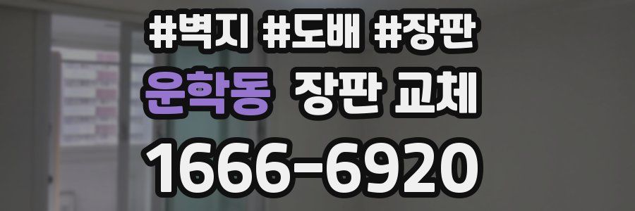 운학동 장판 교체