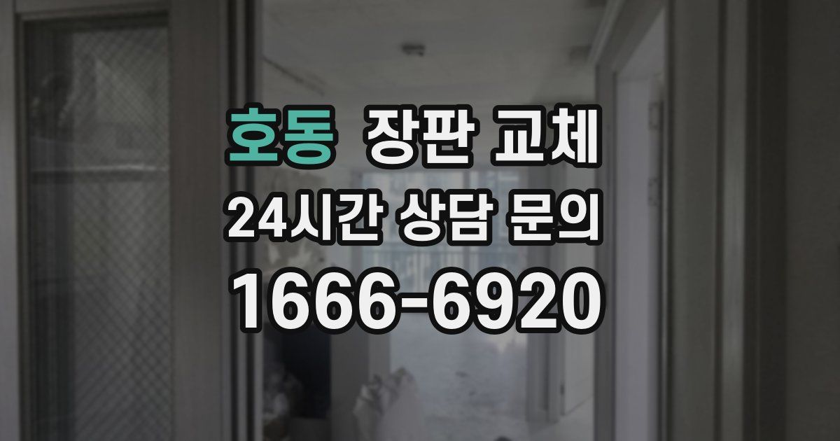 호동 장판 교체