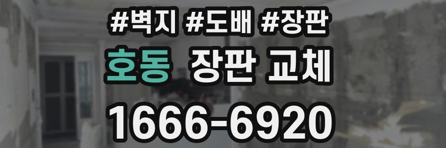 호동 장판 교체