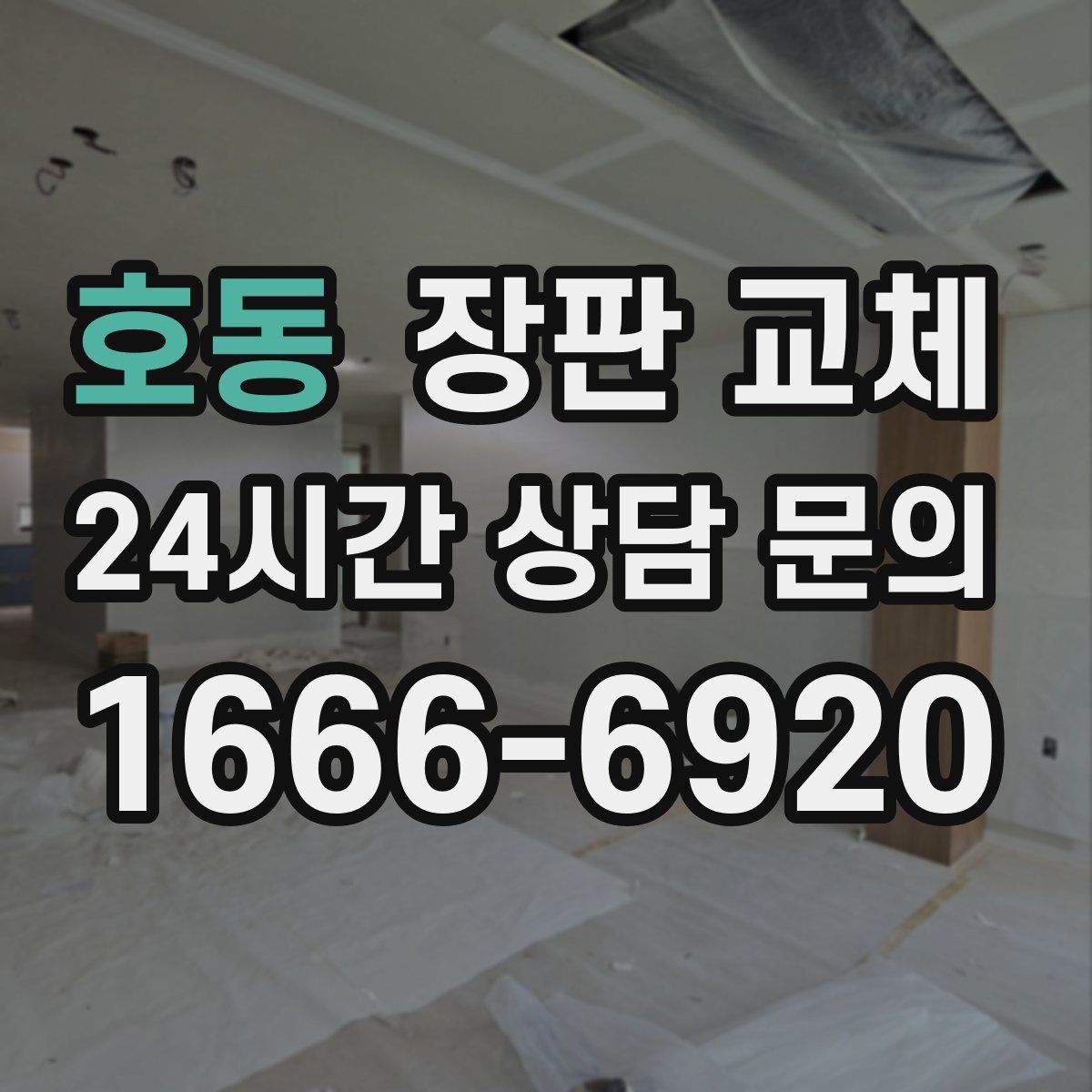 호동 장판 교체