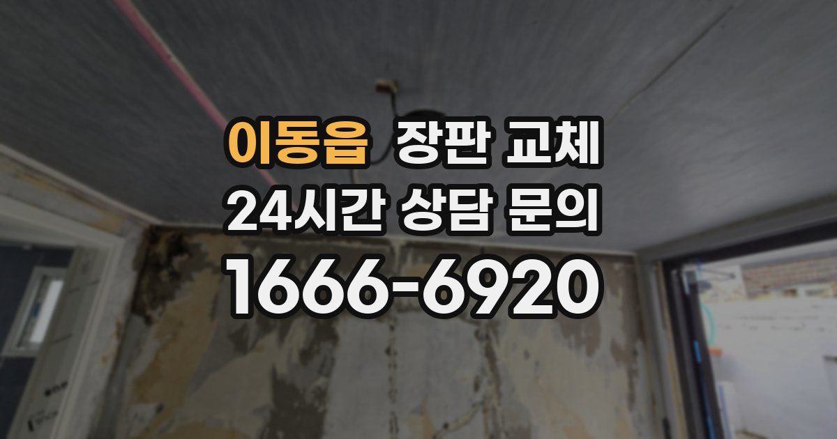 이동읍 장판 교체