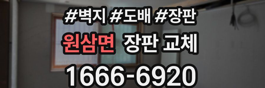원삼면 장판 교체
