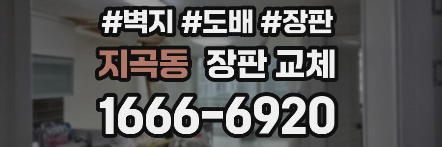 지곡동 장판 교체