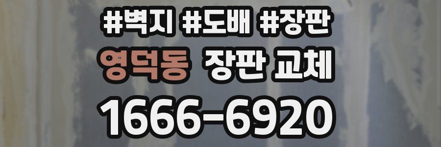영덕동 장판 교체