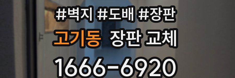 고기동 장판 교체