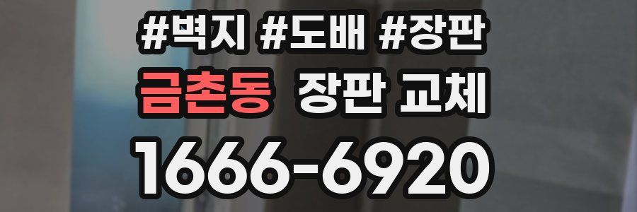 금촌동 장판 교체