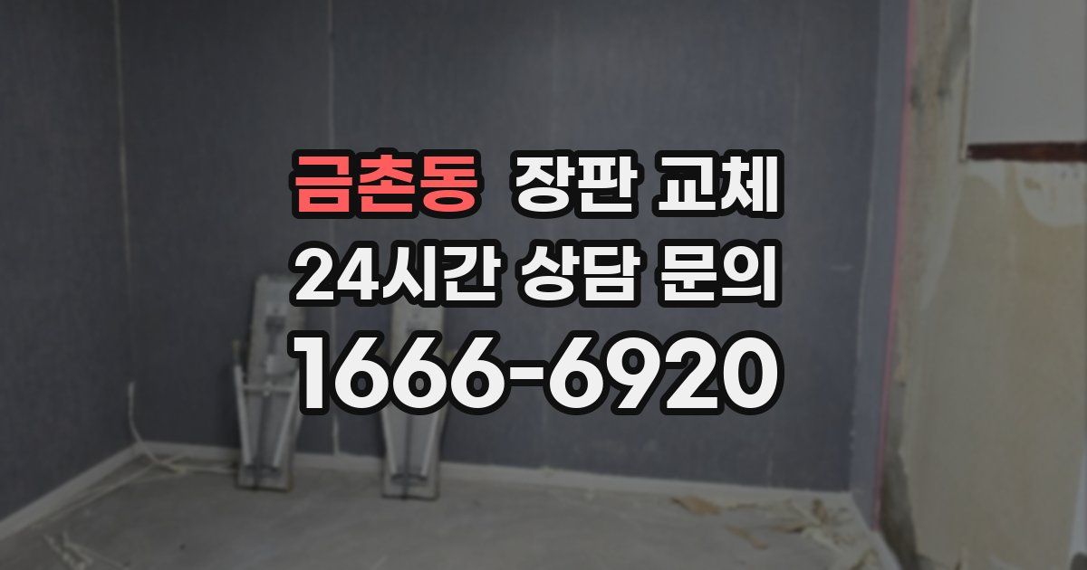 금촌동 장판 교체