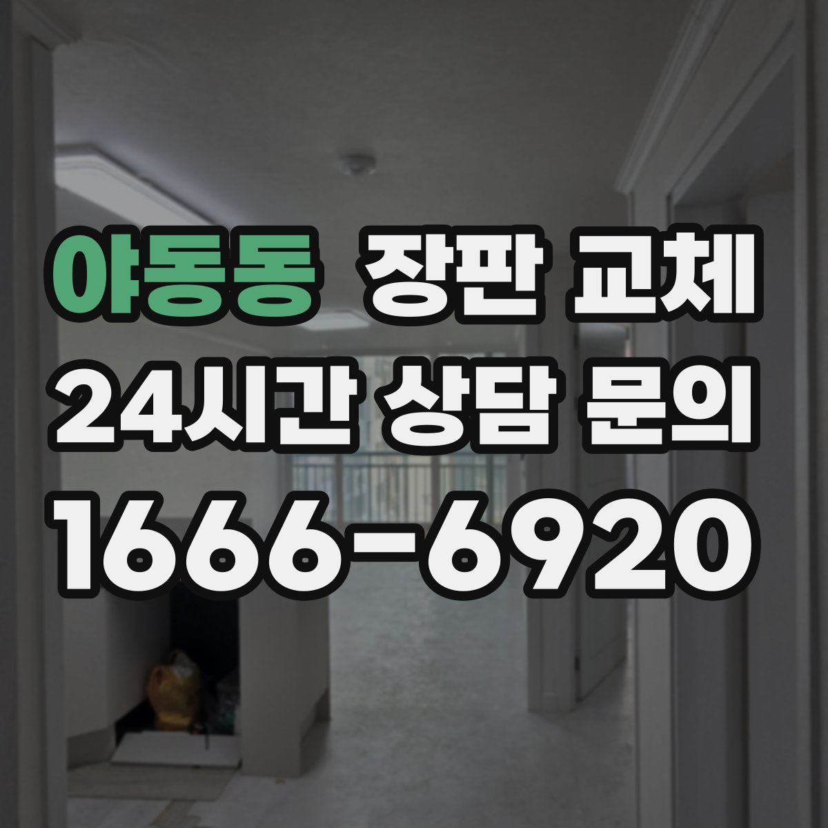 야동동 장판 교체