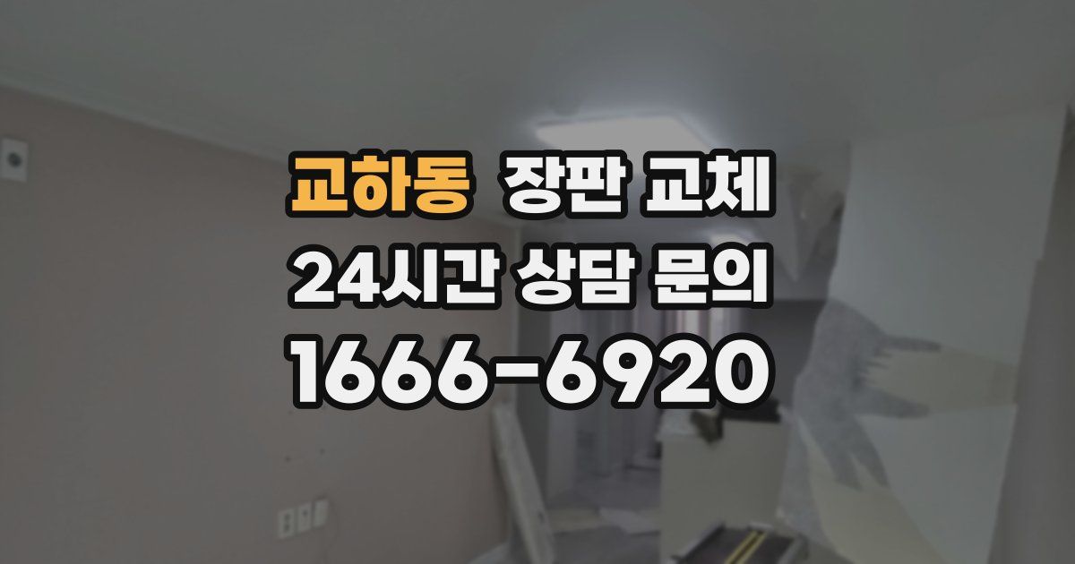 교하동 장판 교체