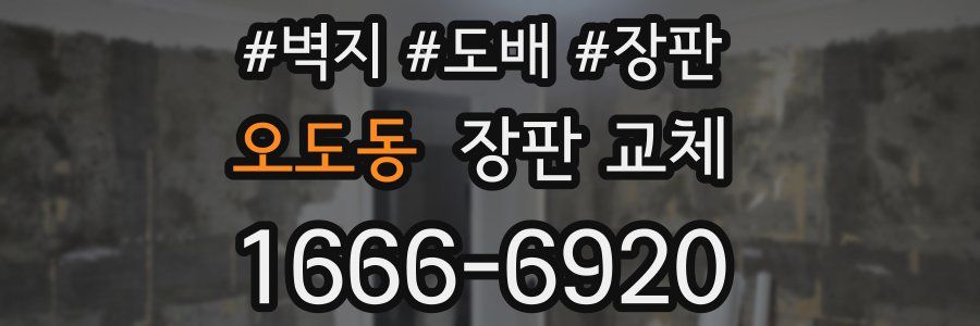 오도동 장판 교체