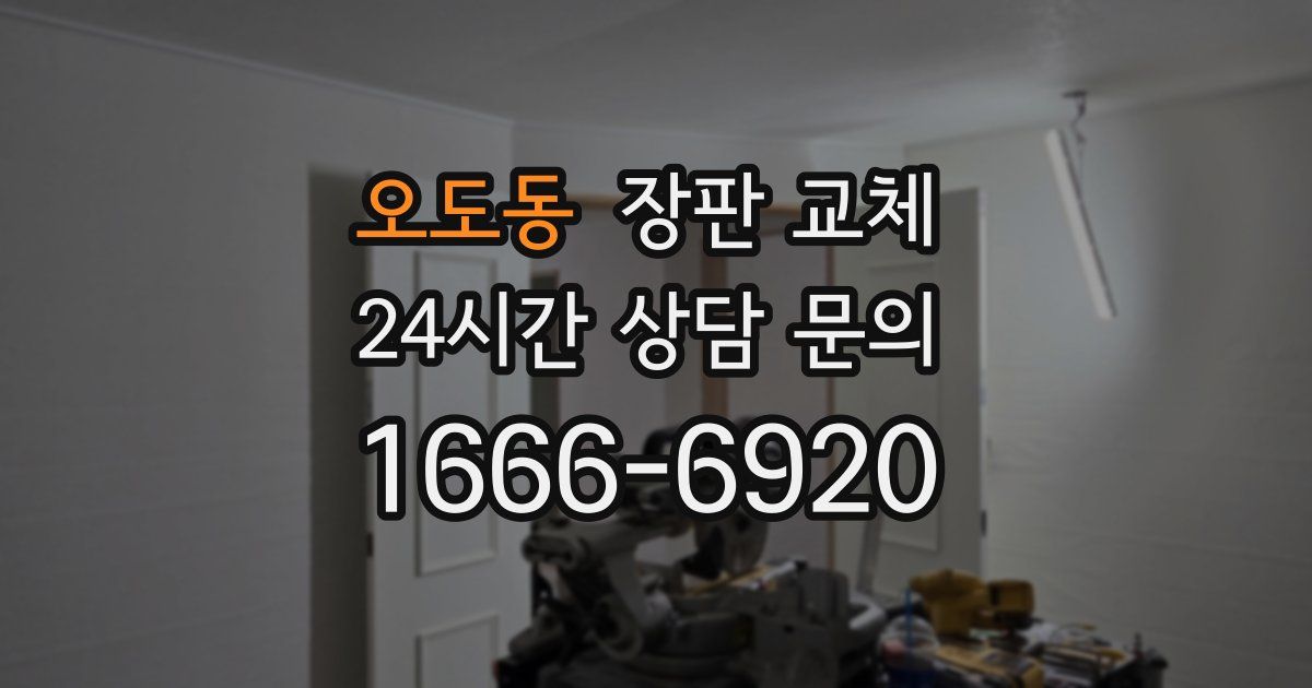 오도동 장판 교체