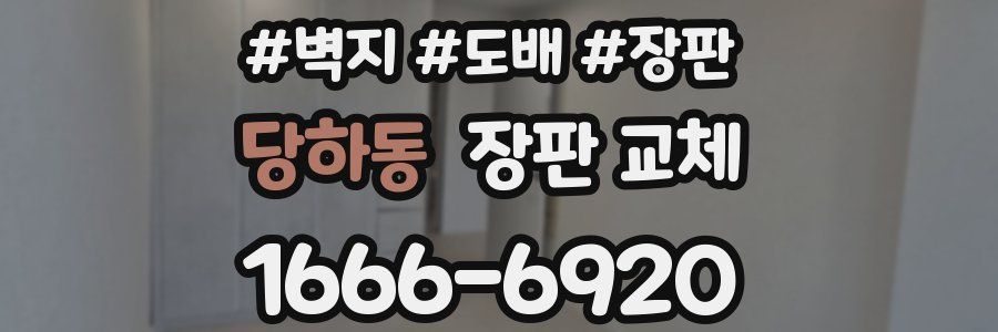 당하동 장판 교체