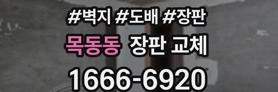 목동동 장판 교체