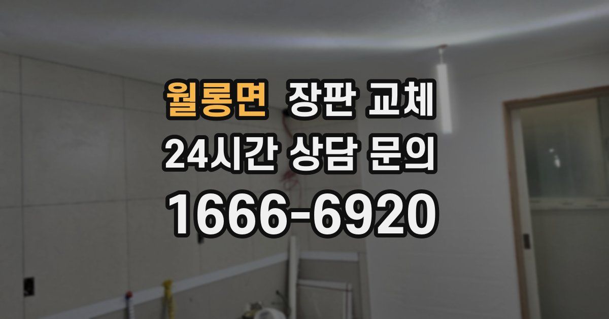 월롱면 장판 교체