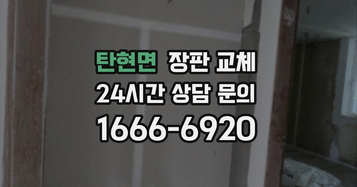 탄현면 장판 교체