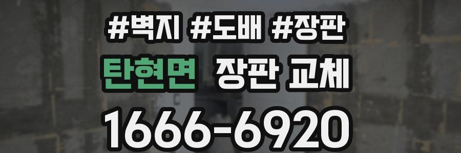 탄현면 장판 교체