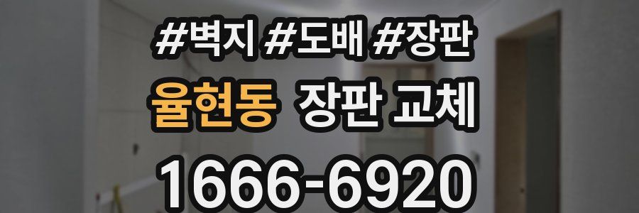 율현동 장판 교체