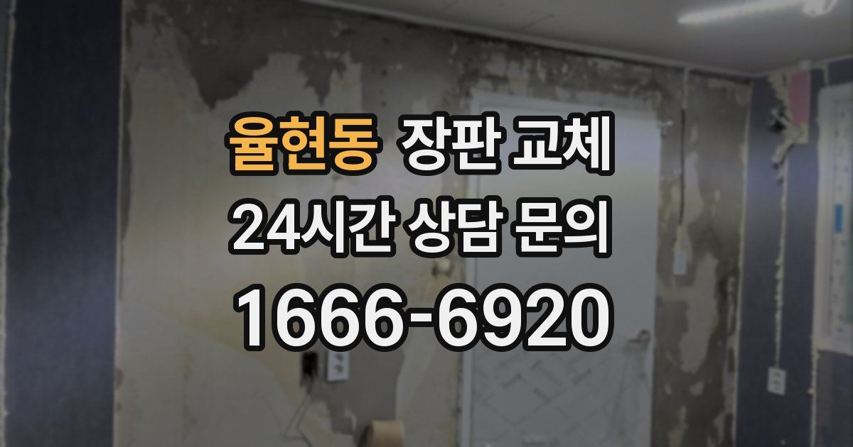 율현동 장판 교체