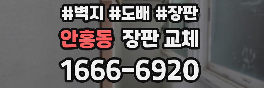 안흥동 장판 교체