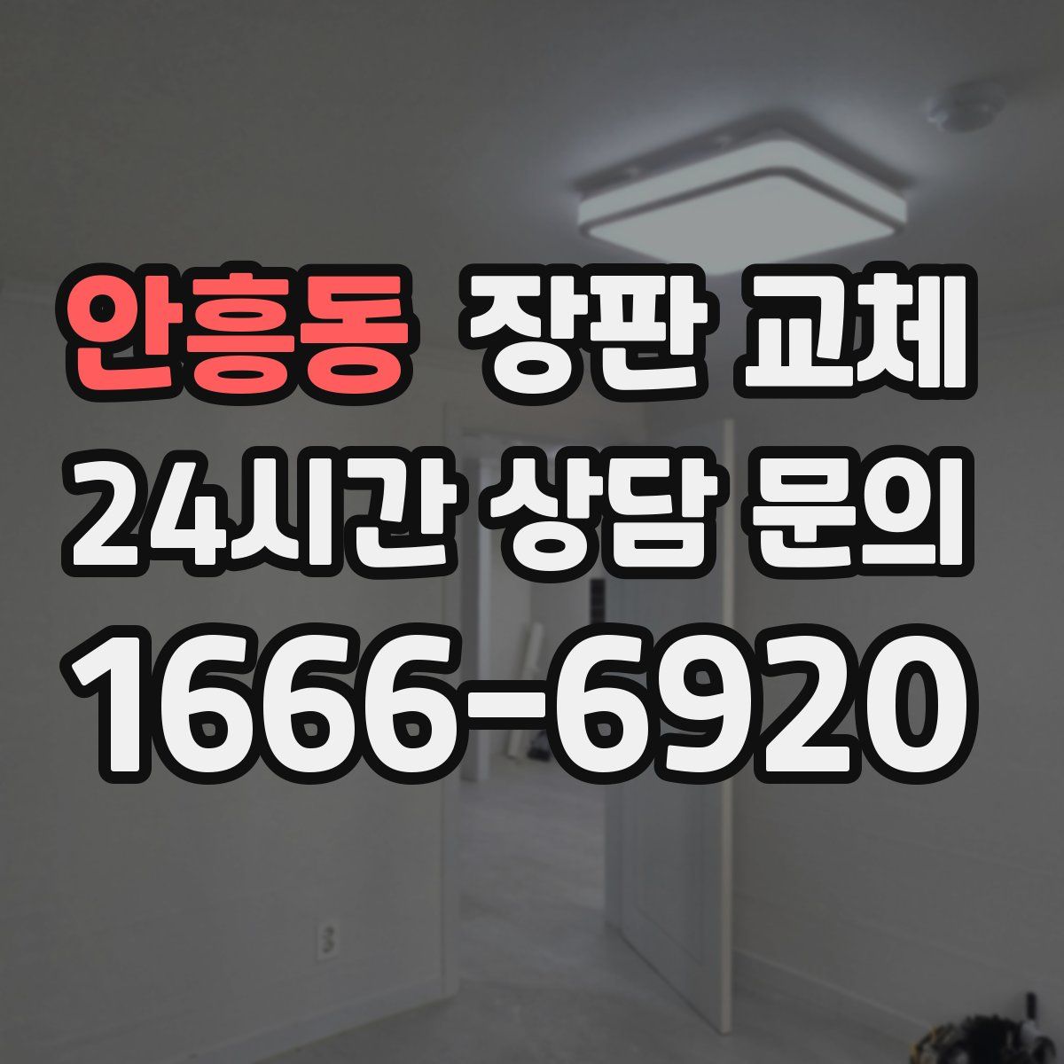 안흥동 장판 교체