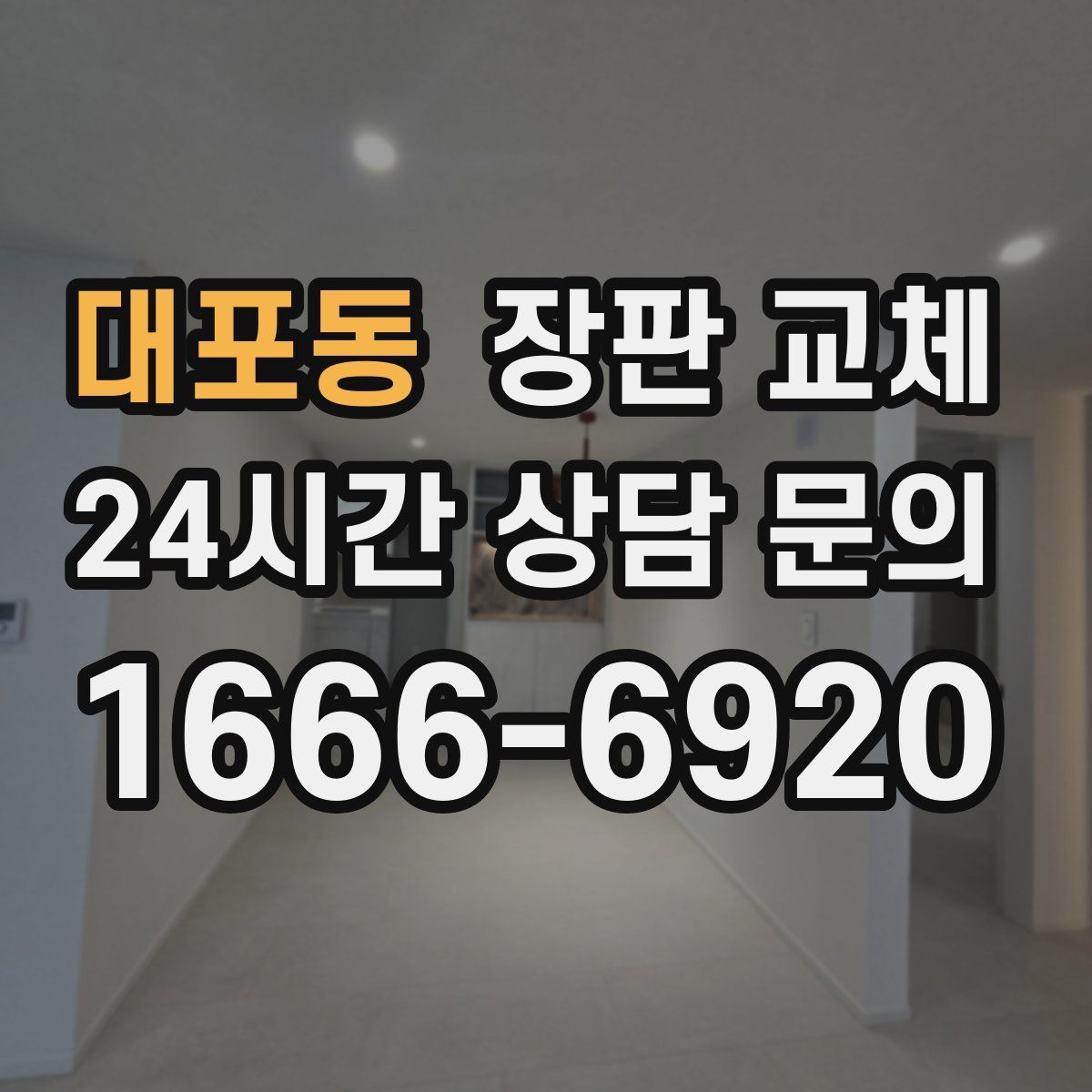 대포동 장판 교체