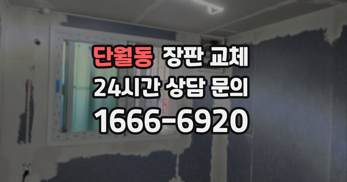 단월동 장판 교체