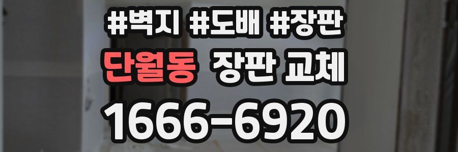 단월동 장판 교체