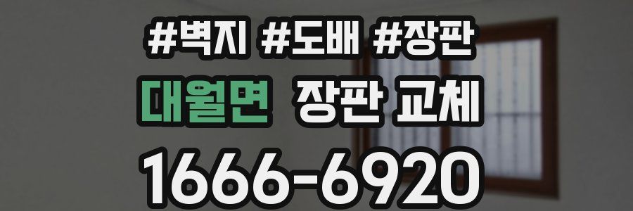 대월면 장판 교체