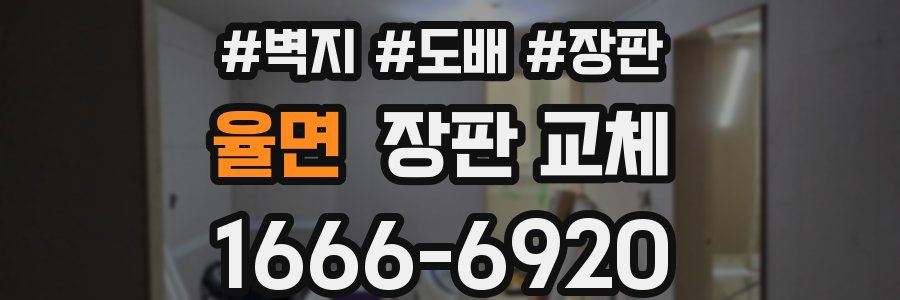 율면 장판 교체
