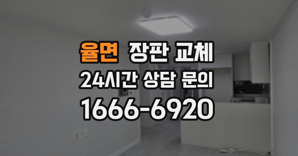율면 장판 교체