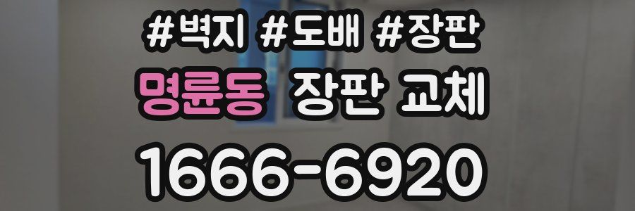 명륜동 장판 교체