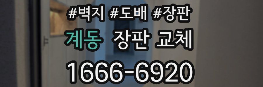 계동 장판 교체