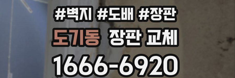도기동 장판 교체