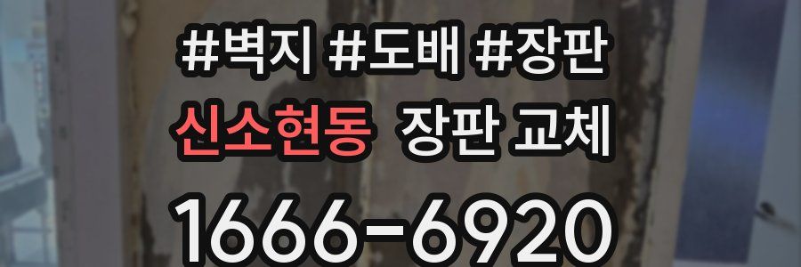 신소현동 장판 교체