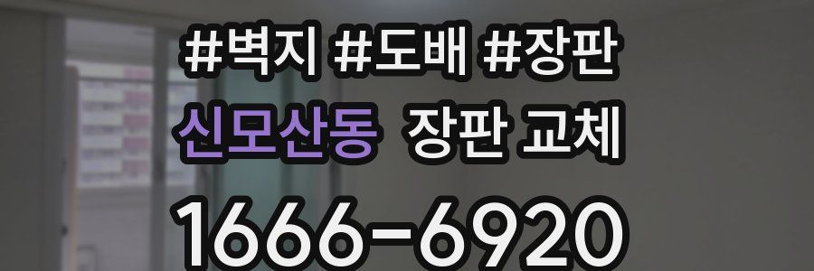 신모산동 장판 교체