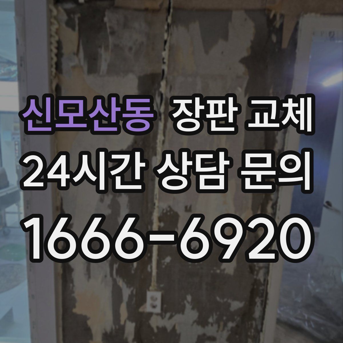 신모산동 장판 교체