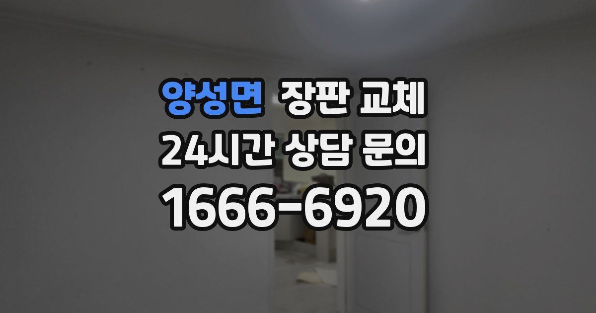 양성면 장판 교체