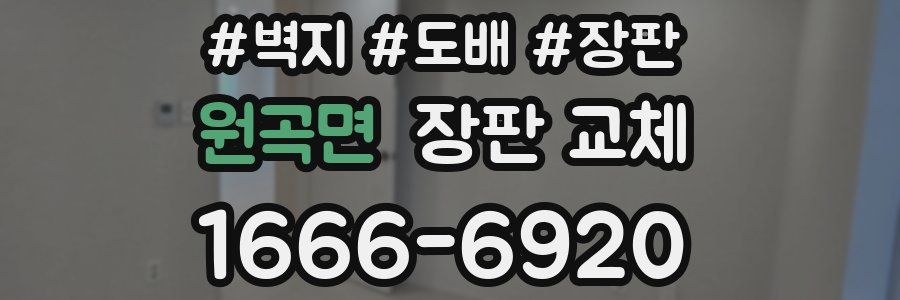 원곡면 장판 교체