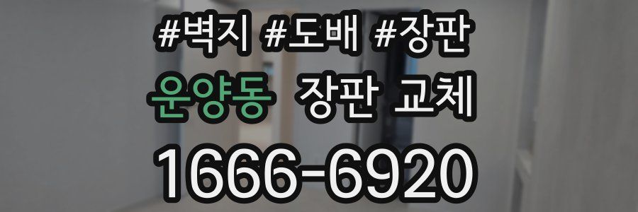운양동 장판 교체