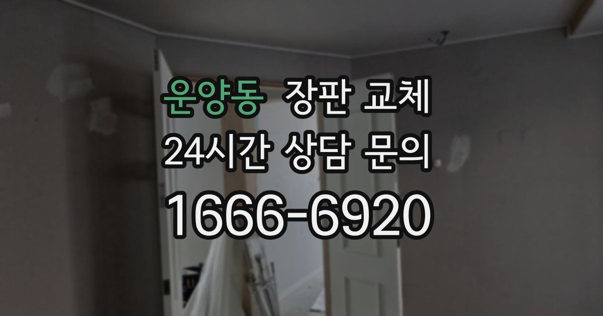 운양동 장판 교체