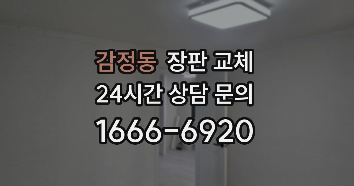 감정동 장판 교체