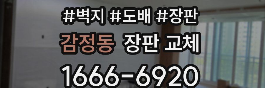 감정동 장판 교체