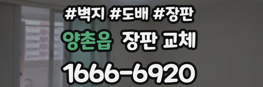 양촌읍 장판 교체