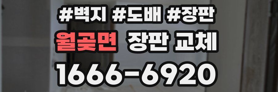 월곶면 장판 교체