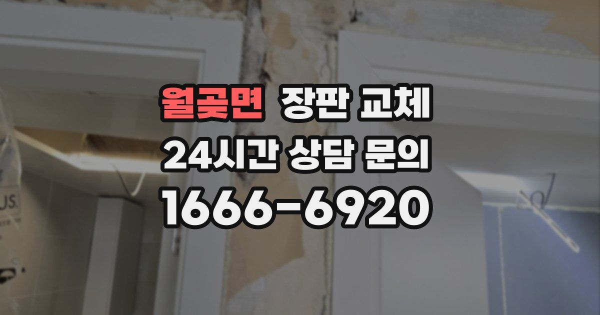 월곶면 장판 교체