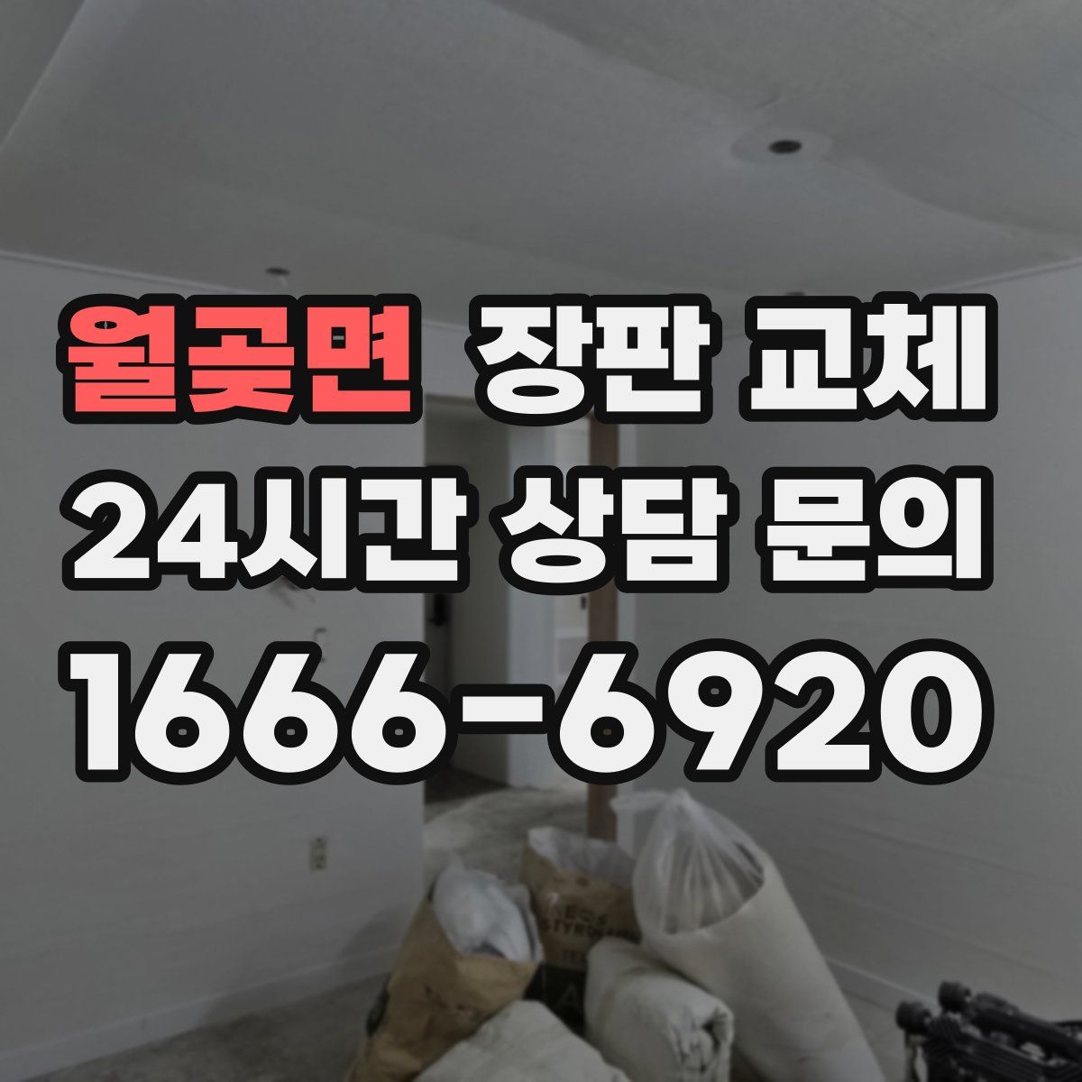 월곶면 장판 교체