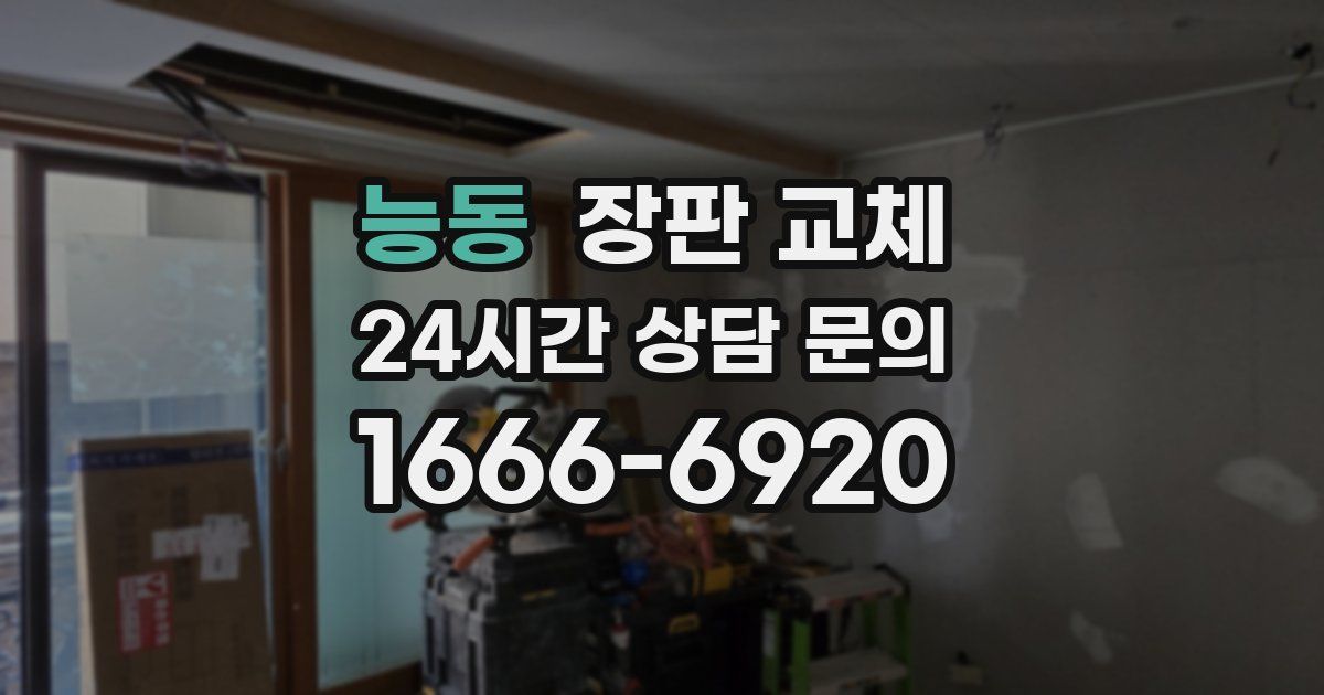 능동 장판 교체