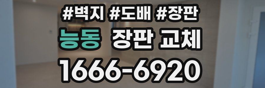 능동 장판 교체